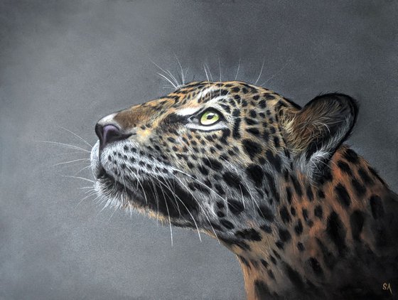 Leopards Gaze III (Original Painting)