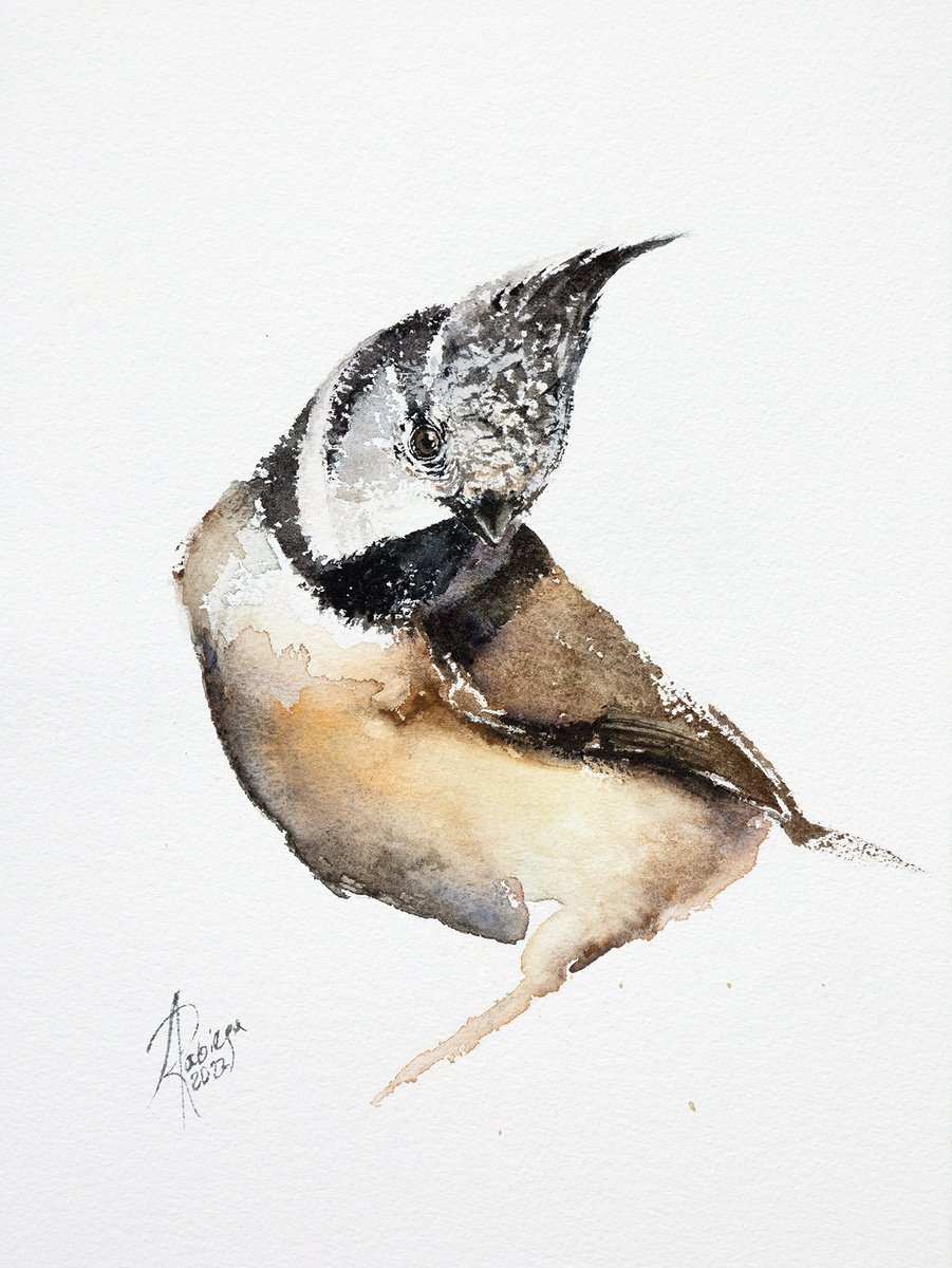 Animal Watercolour By Andrzej Rabiega, 9 X 12, Crested Tit, Original Artwork