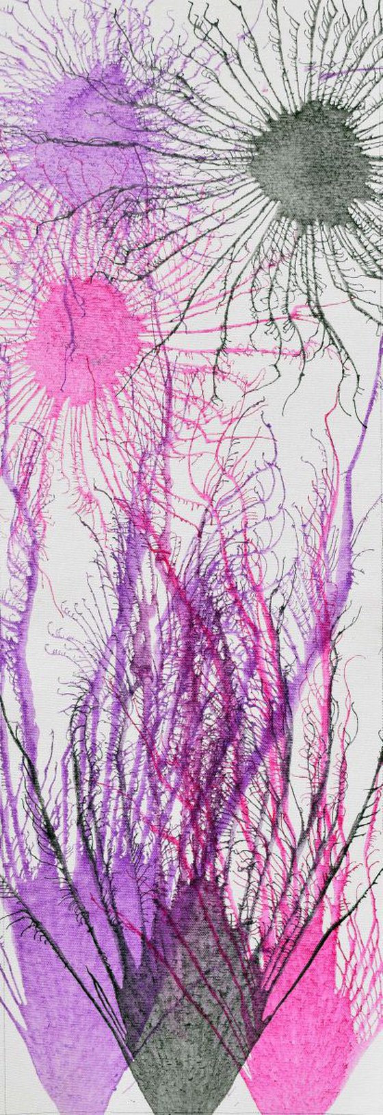 Exploflora Series No. 23