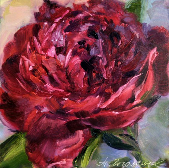 Red peony