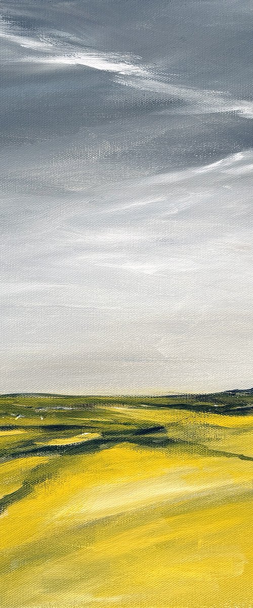 Summer Fields by Arti Chauhan