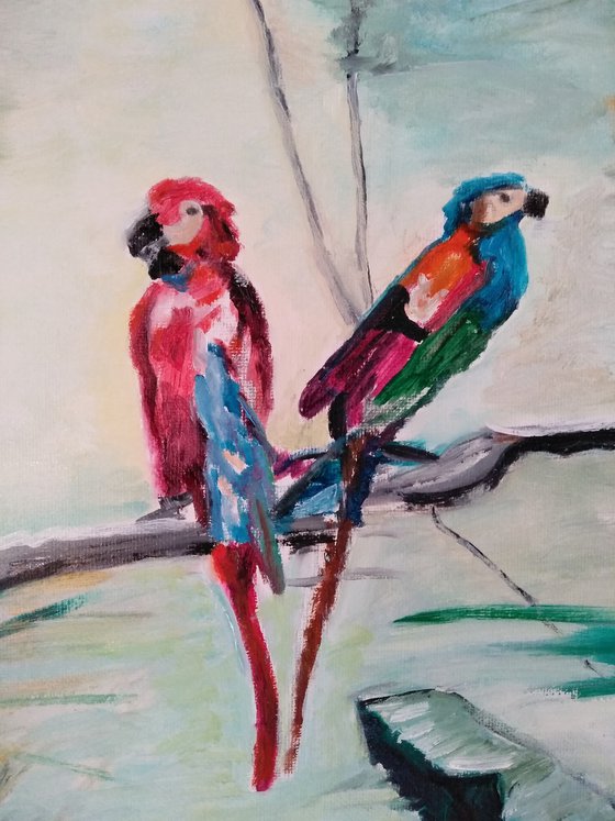 The two parrots