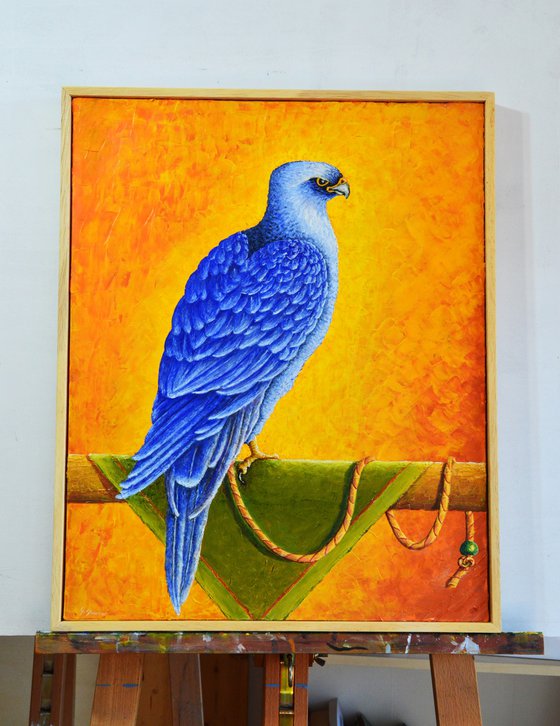 FALCO AZZURRO