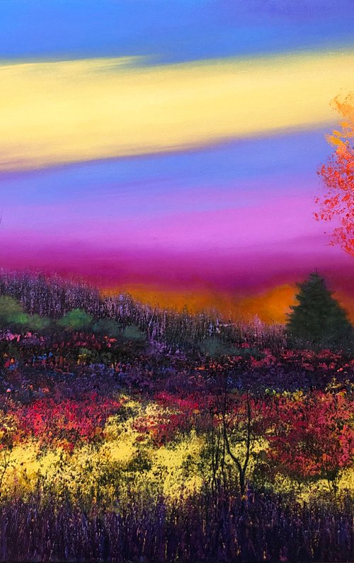 Bold Calm by Faith Patterson
