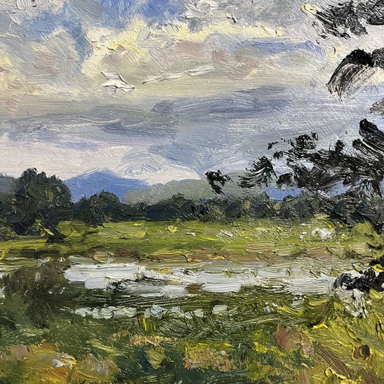 Freedom of Rain Clouds