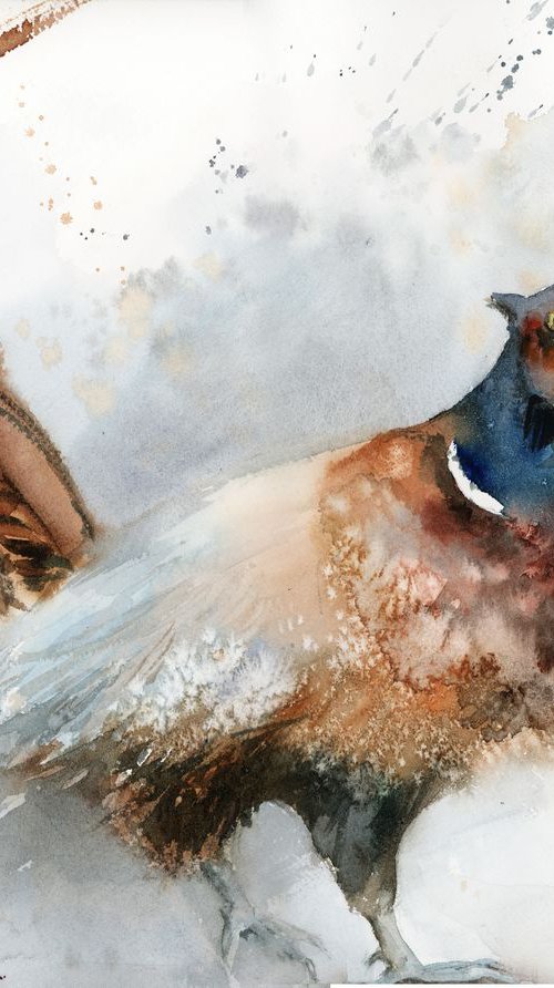 The Pheasant watercolor painting by Sophie Rodionov