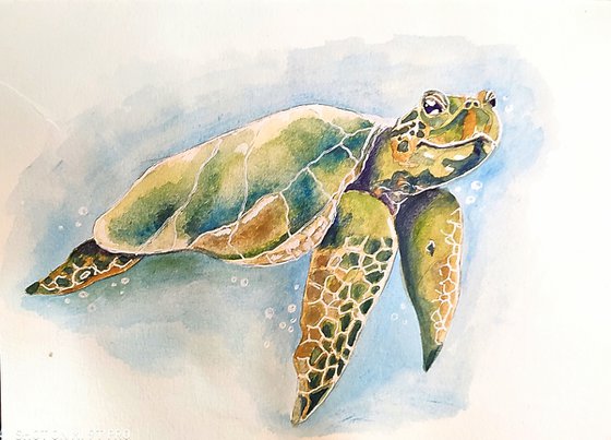 Sealife #1. Watercolor painting by Svetlana Vorobyeva