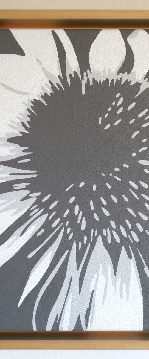 Echinacea by Susan Porter