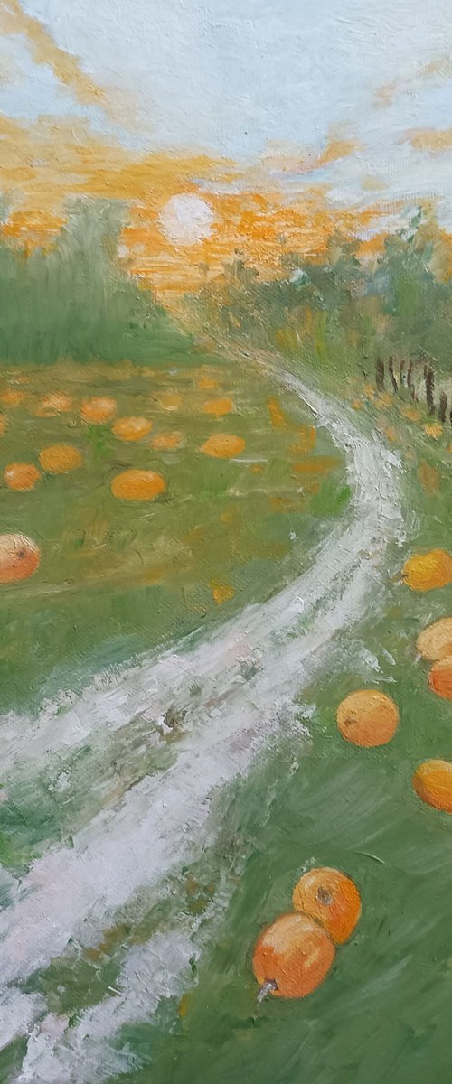 Path through the pumpkin field by Maria Karalyos