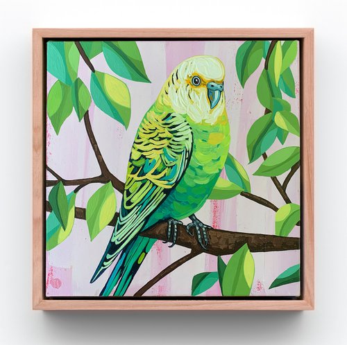 Budgie Beauties: Sunny by JULIE LYNCH