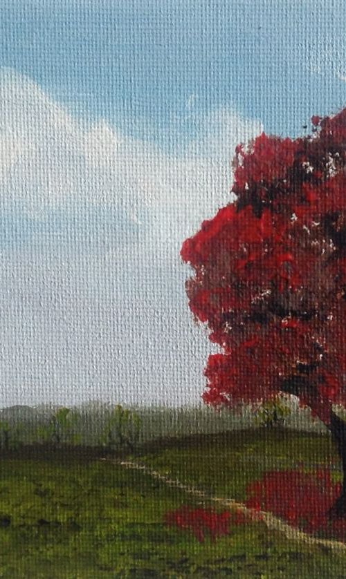 The Red Tree by Marja Brown
