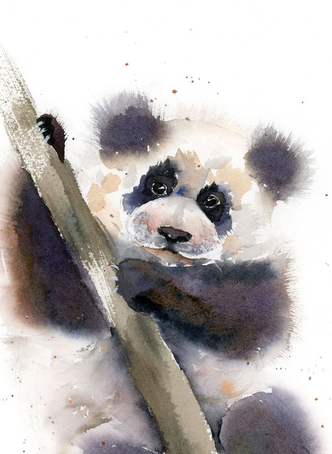 Panda on the tree Watercolour by Olga Shefranov | Artfinder