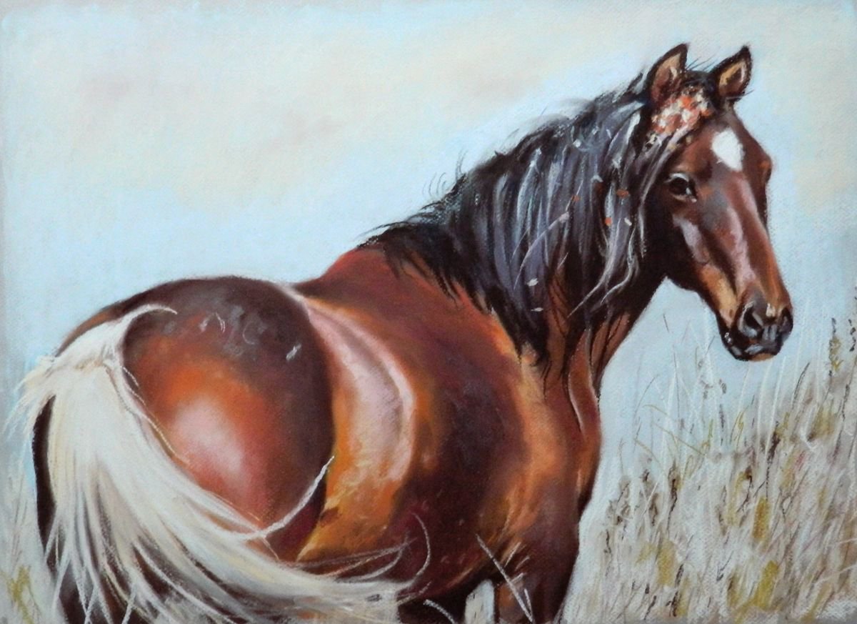 Wild stallion by Magdalena Palega