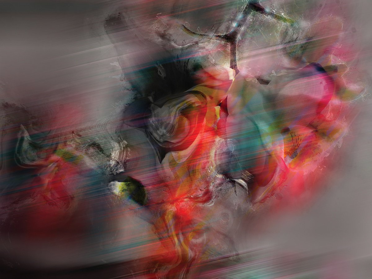 Abstract Botanical Print By Javier Diaz, 60 X 79, Flores Del Mal 2, Original Artwork