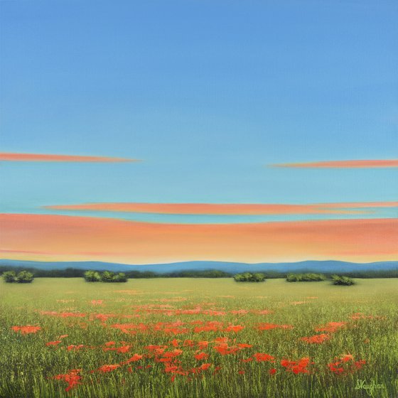 Spring Poppies - Colorful Flower Field Landscape