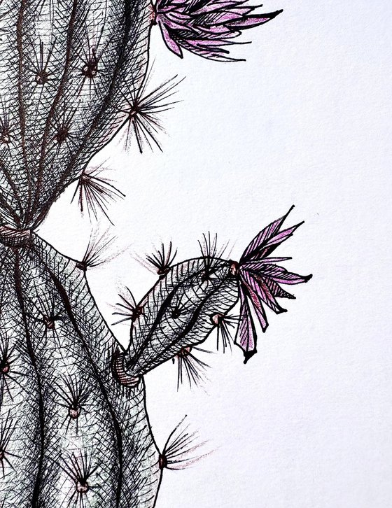 CACTUS WITH PINK FLOWERS