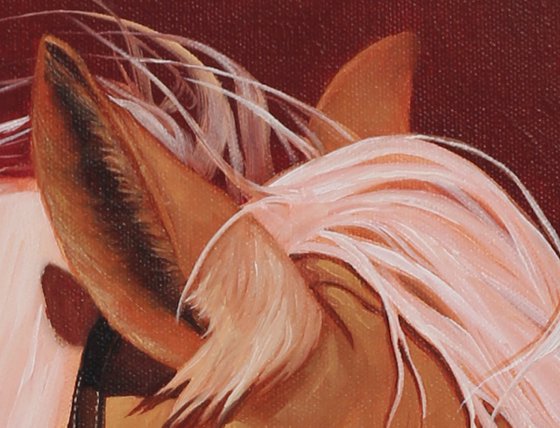 Horse profile portrait