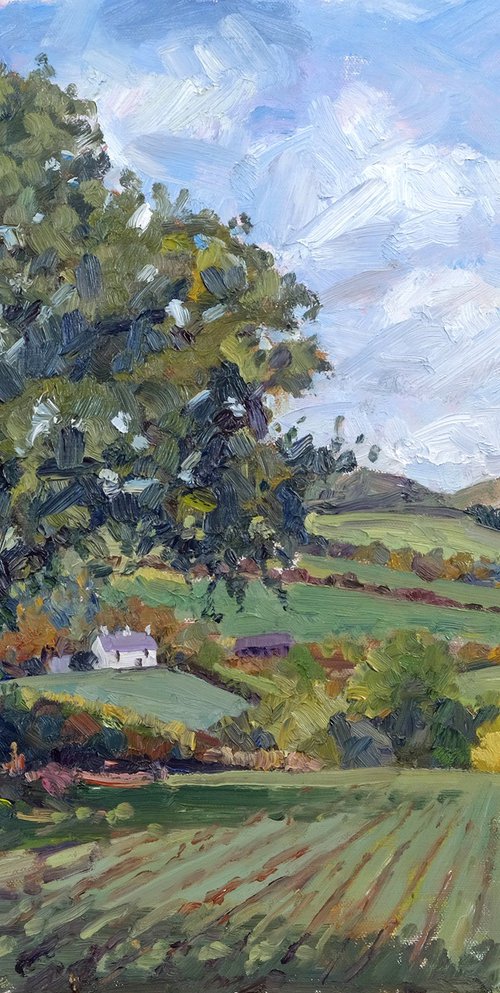 Fox Folly, Autumn, Coxwold by Jeff Parker