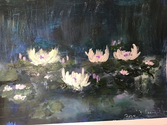 Waterlilies in the mist