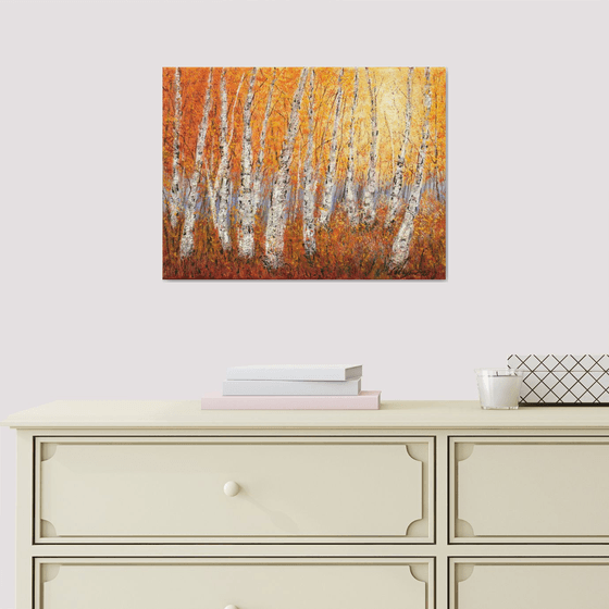 Autumnal birch trees 2