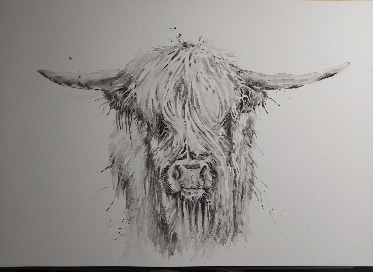 Highland cow portrait Watercolour by Sue Green | Artfinder