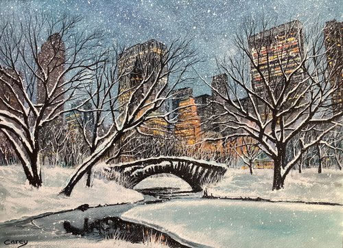 Central Park Winter by Darren Carey