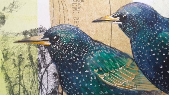 Waiting online - Starling painting