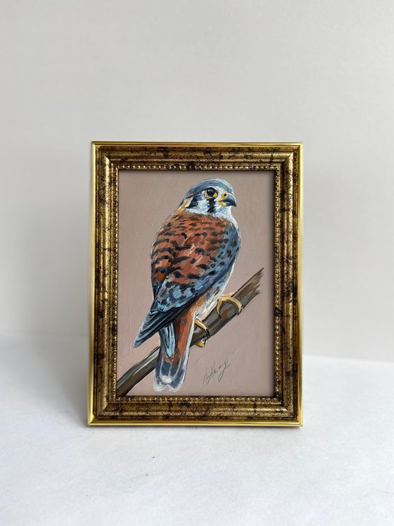 Bird Oil Painting American Kestrel framed 16x20cm 6x8inch