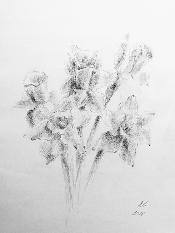 Daffodils. Original pencil drawing