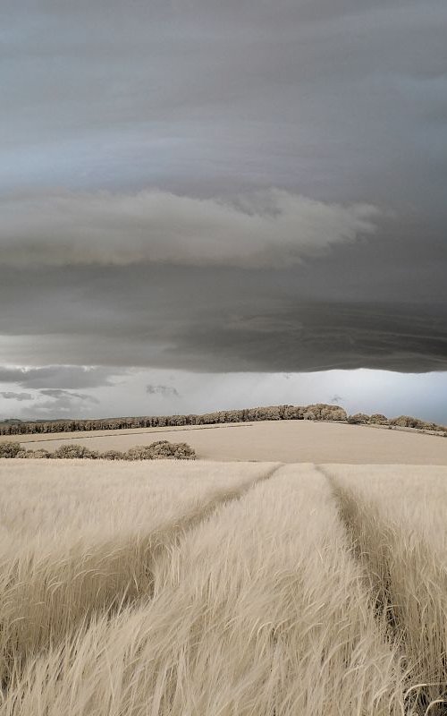 After The Storm, Kithurst Hill by Ed Watts