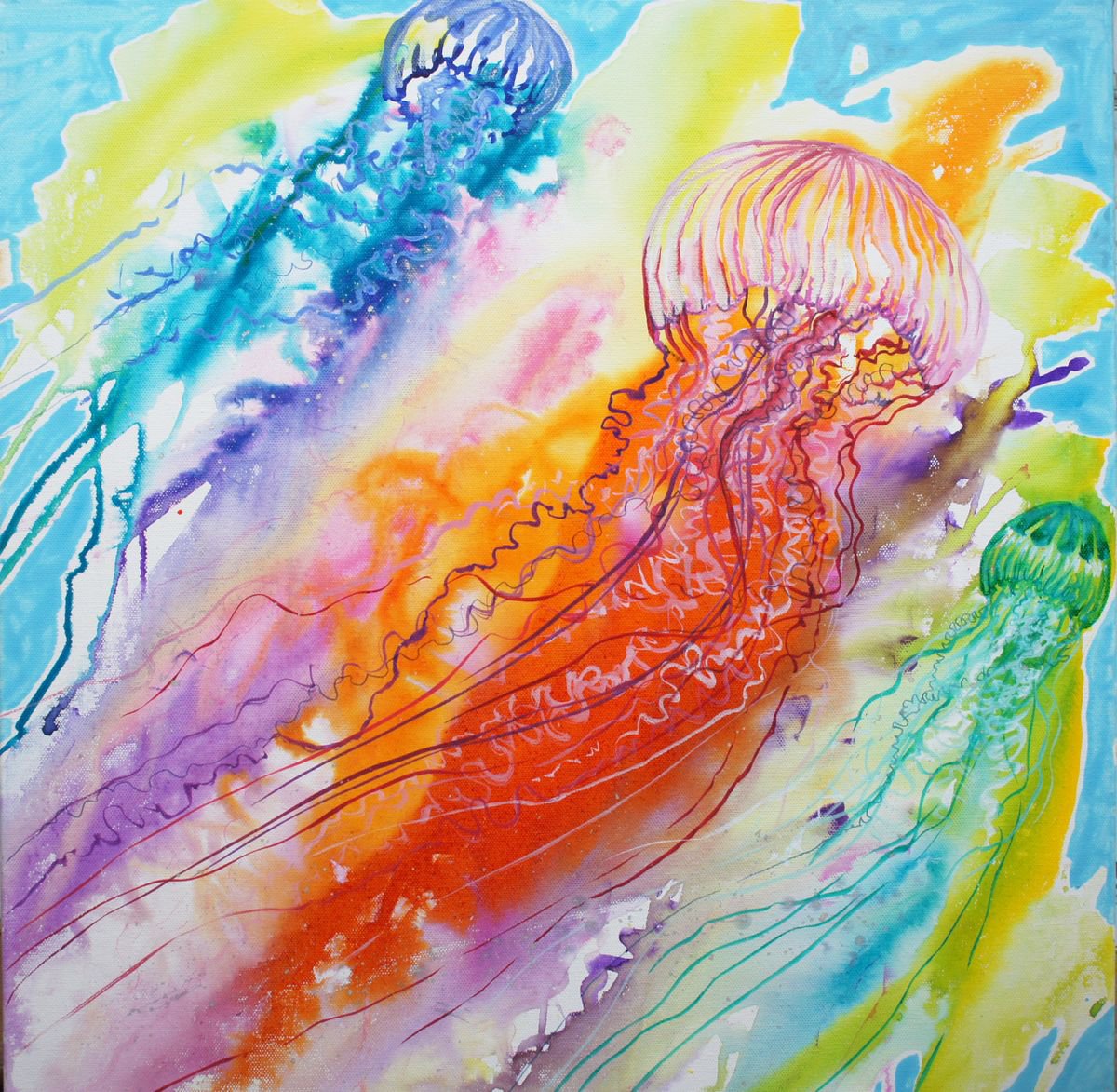 Three Jellyfish by Julia Rigby