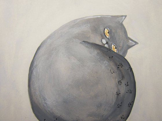 The grey cat