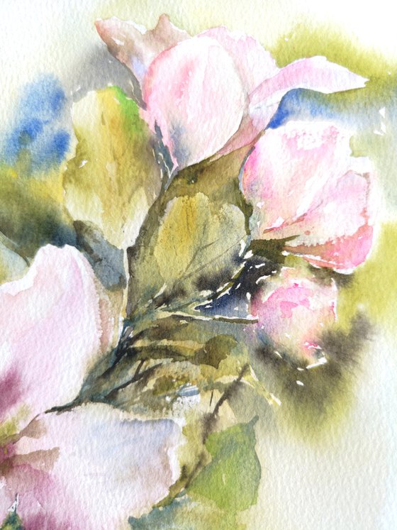 Spring apple blossom, small watercolor floral painting