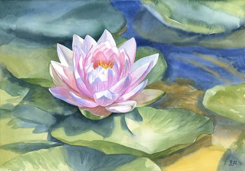 Pink water lily original watercolor painting gift for her lotus flower floral by Julia Logunova