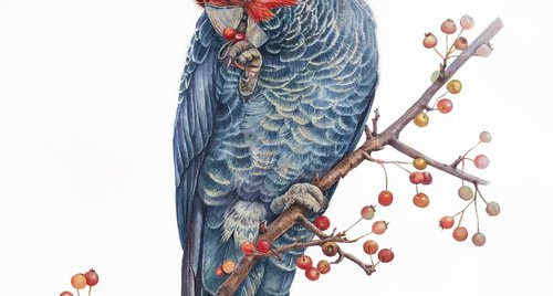 Artwork by Nataliia Kupchyk