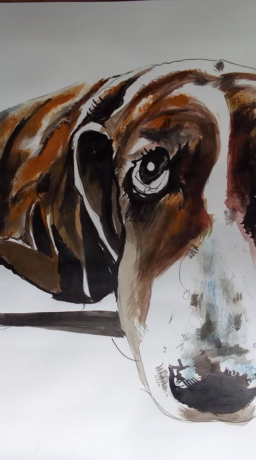 Bassethound by Soso Kumsiashvili