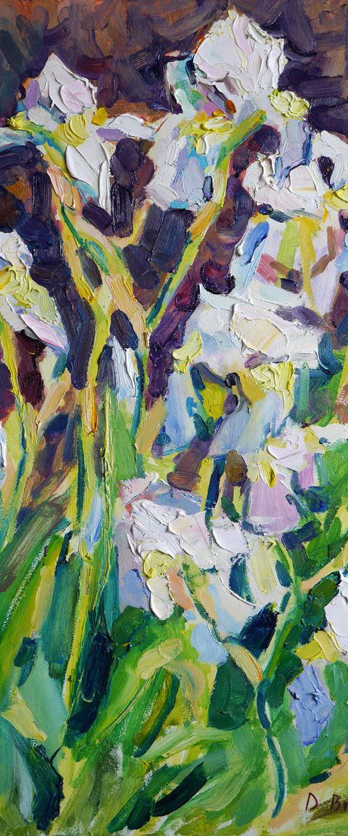 White irises (plein air 2019/05/15) by Dima Braga