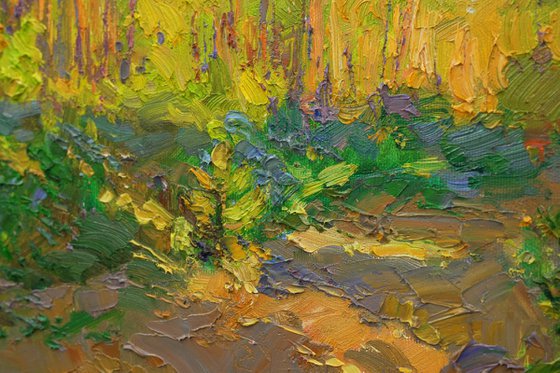 Warm evening in the forest