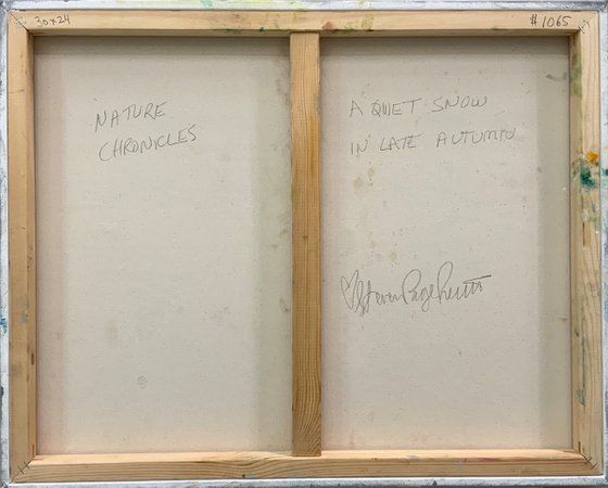 A Quiet Snow In Late Autumn