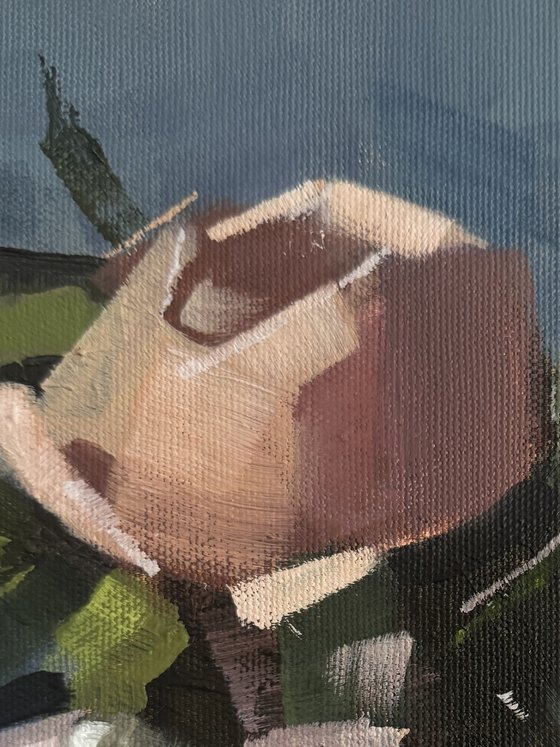 Quiet Bloom