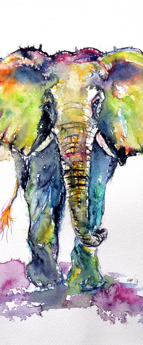 Colorful elephant by Kovács Anna Brigitta