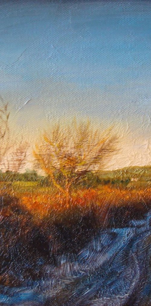 December afternoon by Michael Mullen
