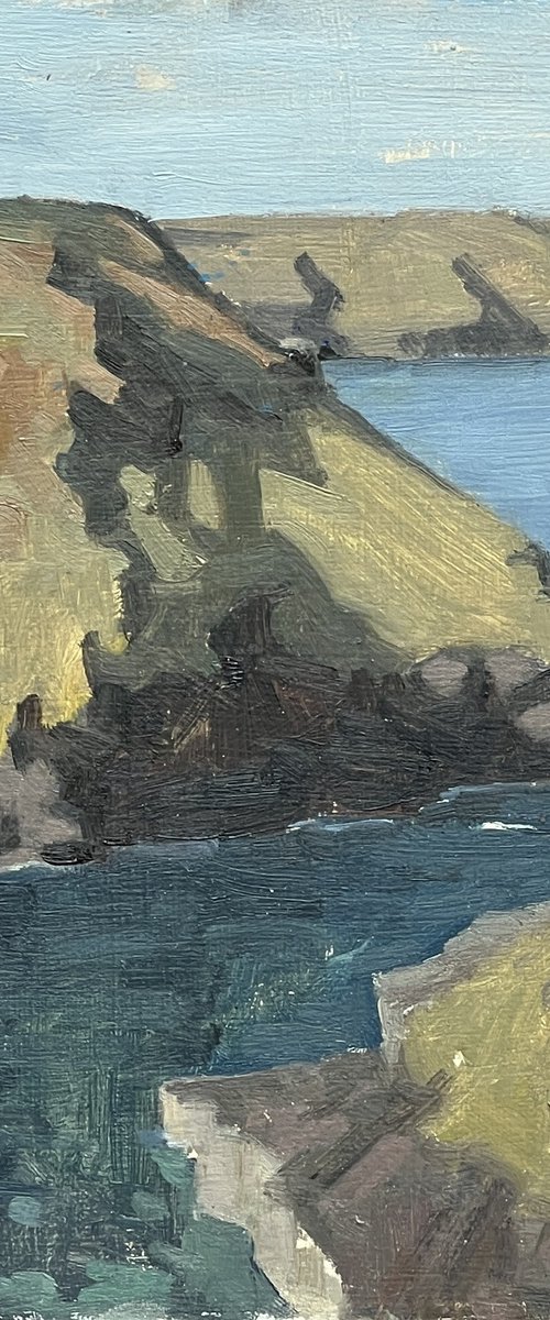 Boscastle spring by Louise Gillard