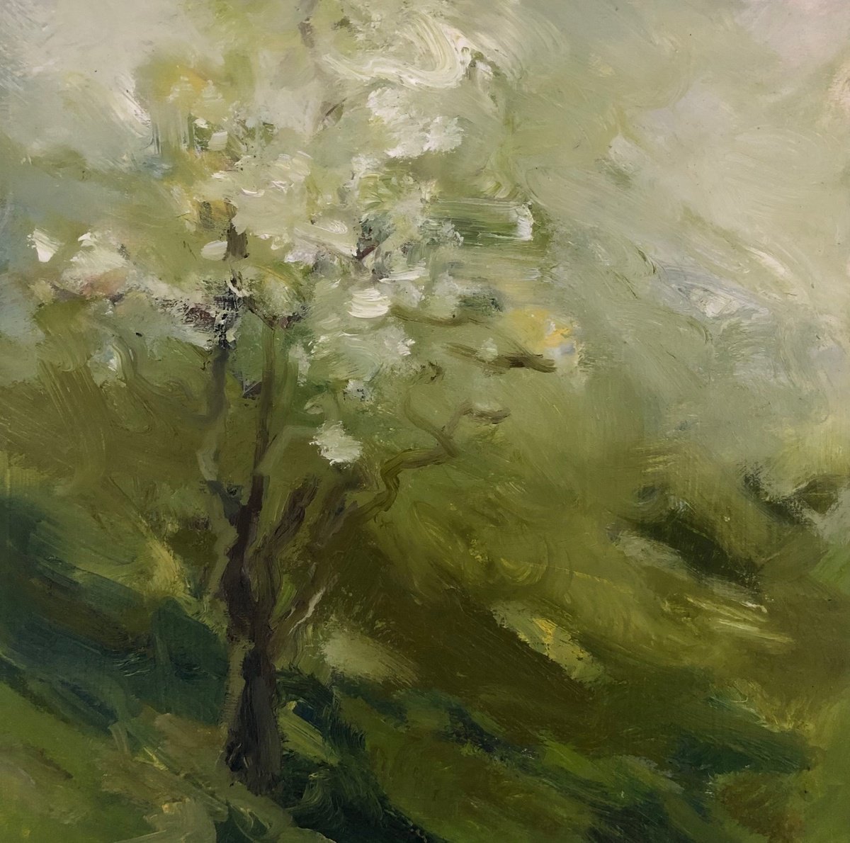 Apple Blossom by Joanna Farrow
