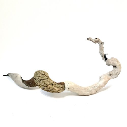Dragon snake by Eleanor Gabriel