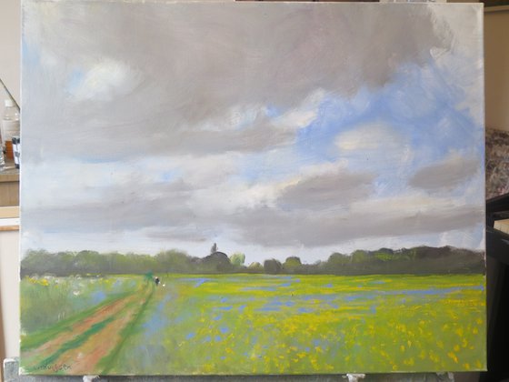 Water Meadow, May 23