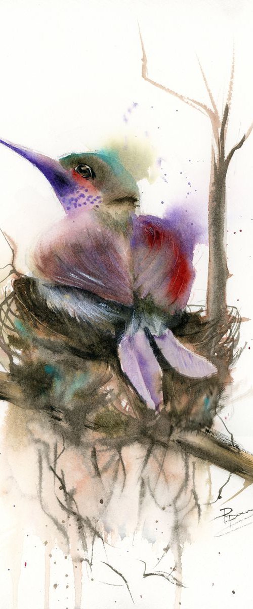 Hummingbird in the nest (1) by Olga Tchefranov (Shefranov)