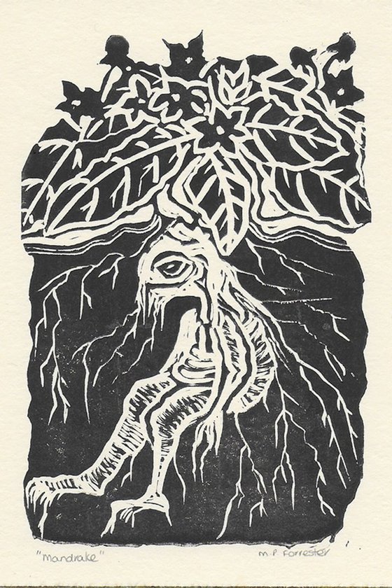 Mandrake - Original Lino Print