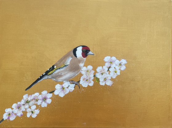 Goldfinch and Cherry Blossom