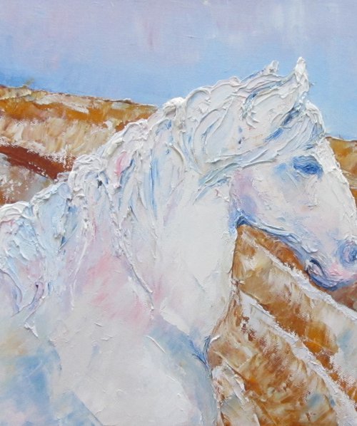 White horse over ploughed field. by Brenda Burgess